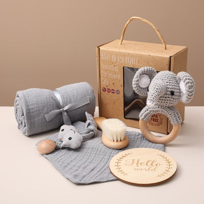 Newborn Milestone 6 Piece Gift Set