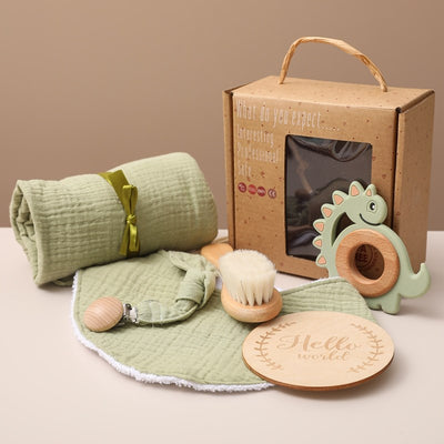 Newborn Milestone 6 Piece Gift Set